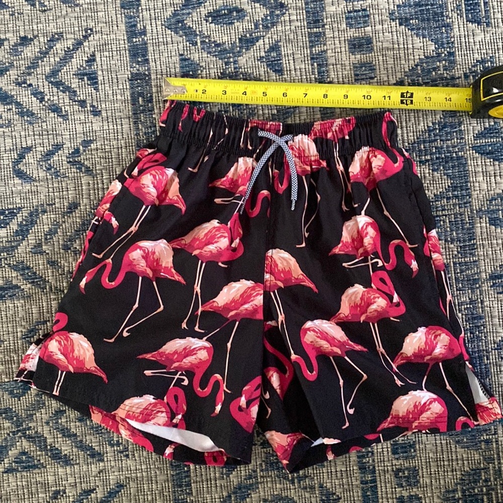 Cascade Sport Flamingo Print Swim Trunks men’s Small NWOT